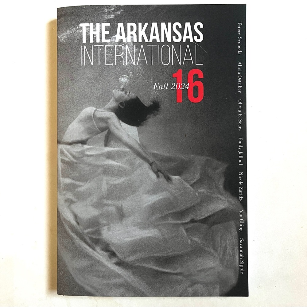 The Arkansas International Issue 16